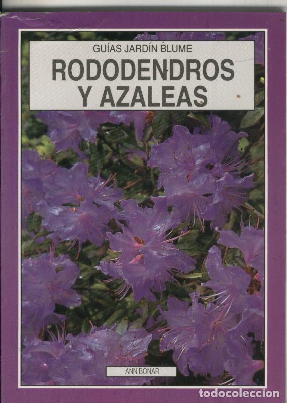 Comics: Guias Jardin Blume: Rododendros y Azaleas - Ann Bonar