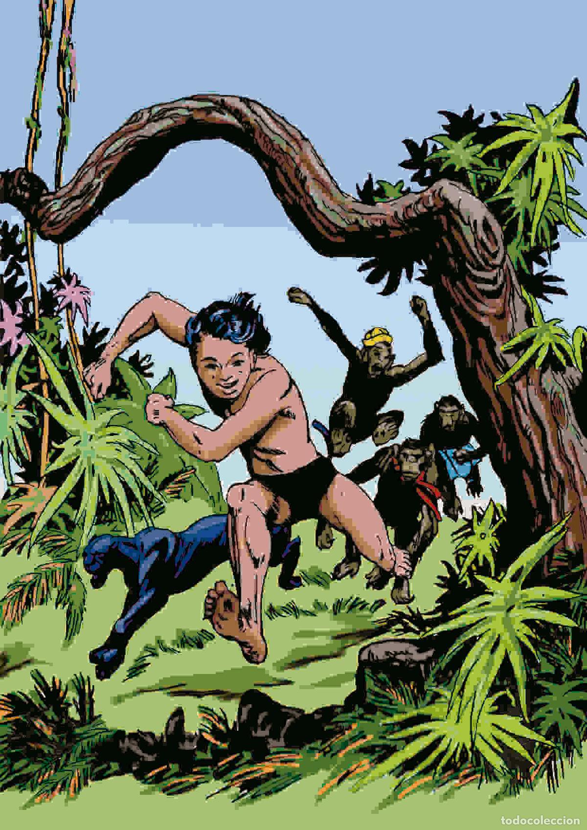 Fumetti: Poster DIN 4 numero 0013: Peque&ntilde;o Pantera Negra serie Clasicos Espa&ntilde;oles