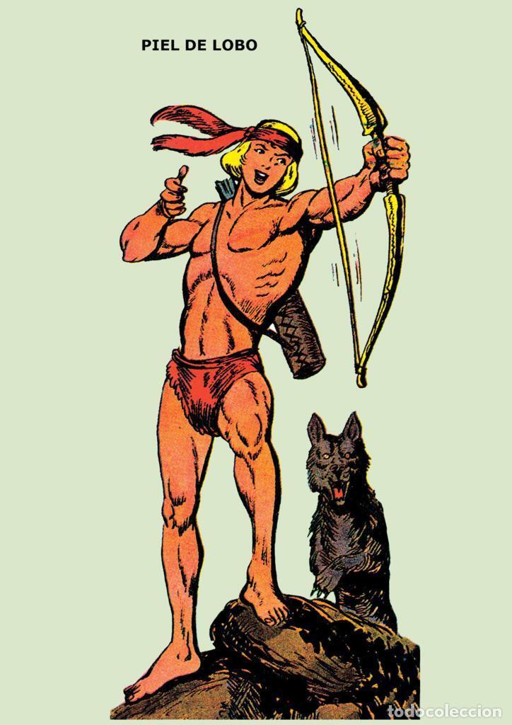 Comics: Poster DIN 4 numero 0444: Piel de Lobo de Manuel Gago - NULL