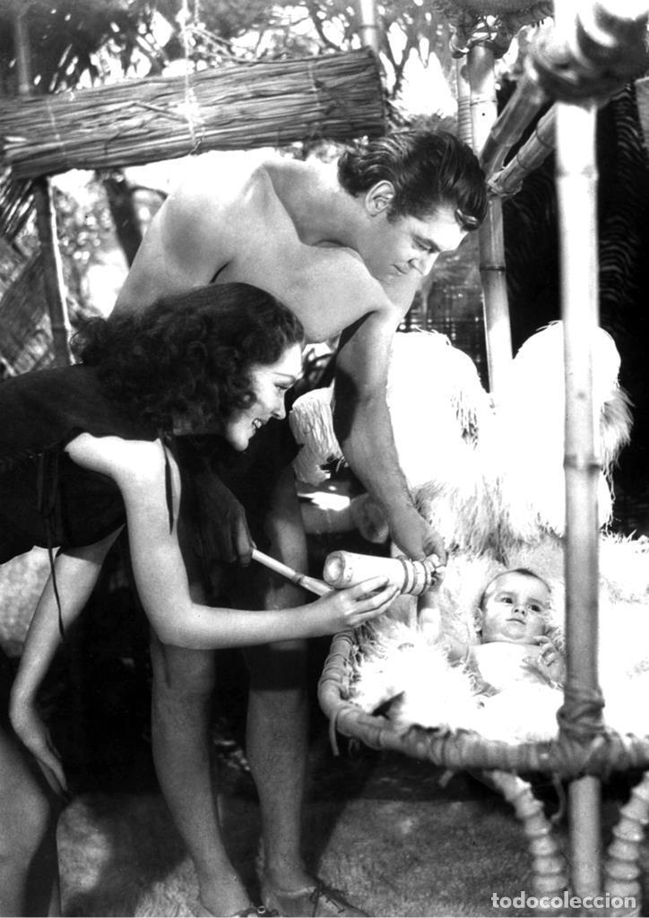 Comics: Poster DIN 4 numero 0775: Tarzan (Johnny Weissm&uuml;ller) modelo 02 - NULL