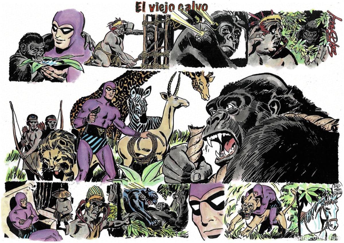 Comics : Poster DIN 4 numero 0097 serie El Hombre Enmascarado (The Phantom) modelo 22: El viejo calvo - NULL