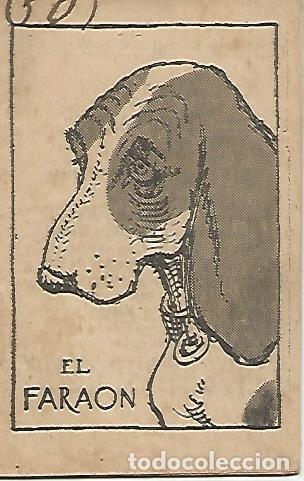 Fumetti: PATUFET 2364: El faraon