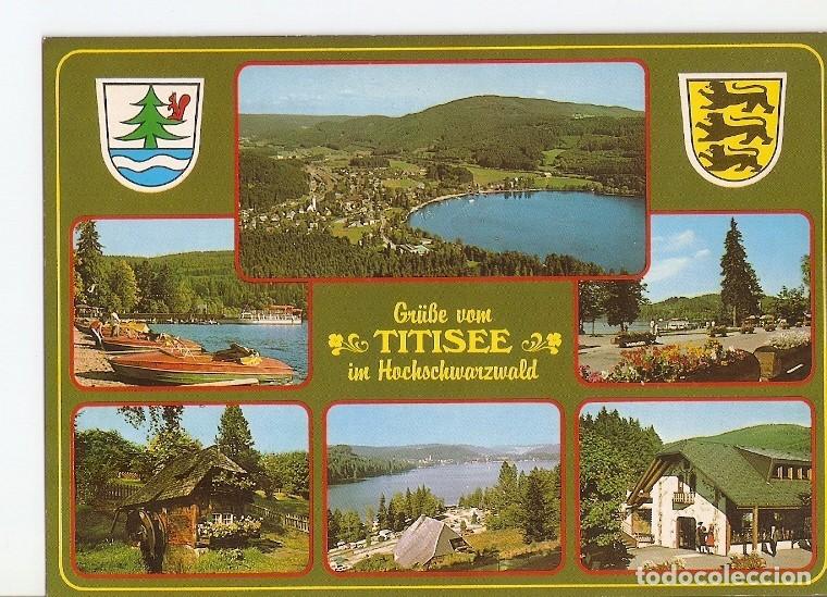 Comics: Jirafas en mi pelo, una vida de Rock N Roll - Bruce Paley & Carol Swain