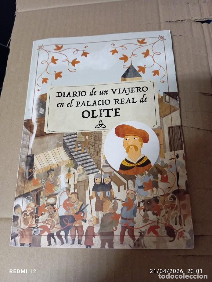 C&oacute;mics: DIARIO DE UN VIAJERO EN EL PALACIO REAL DE OLITE / 34 PAGINAS