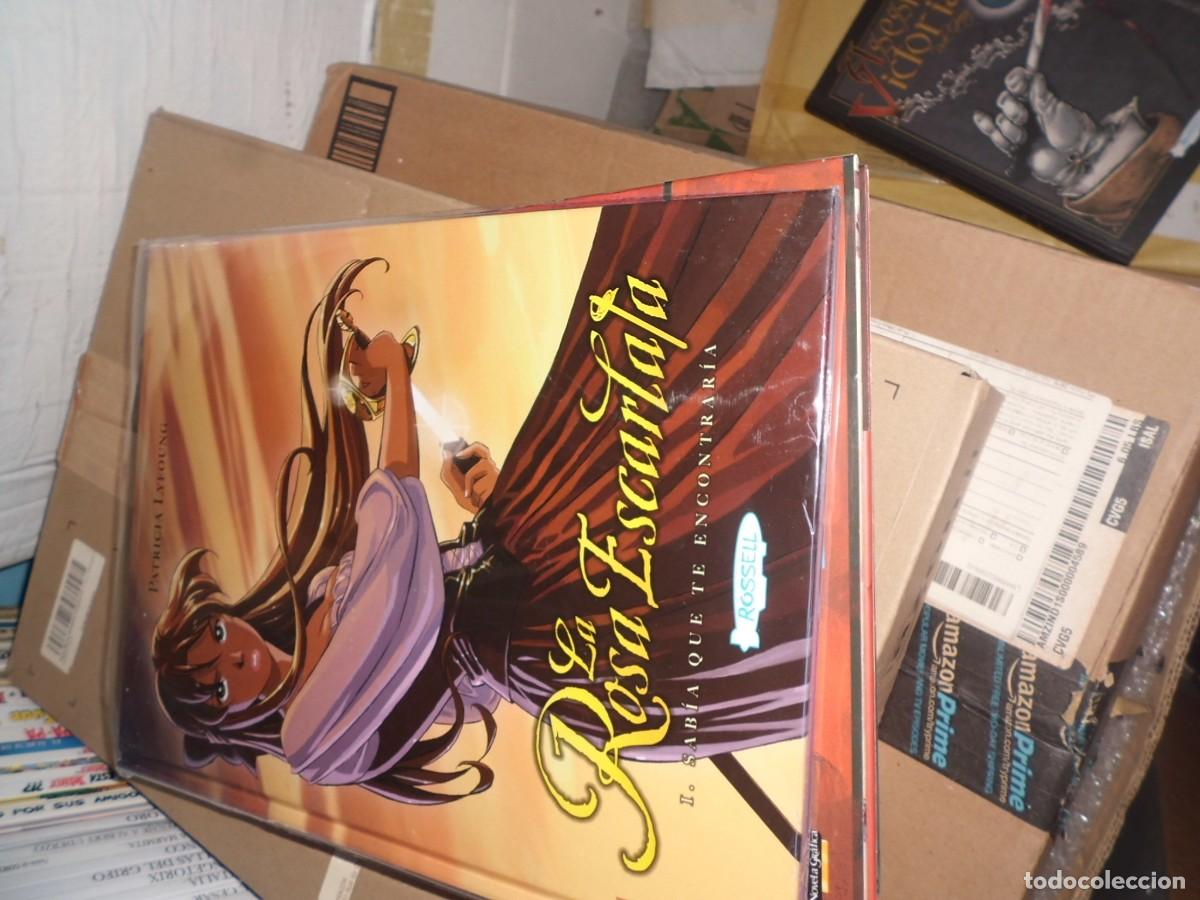 C&oacute;mics: LA ROSA ESCARLATA ROSSELL