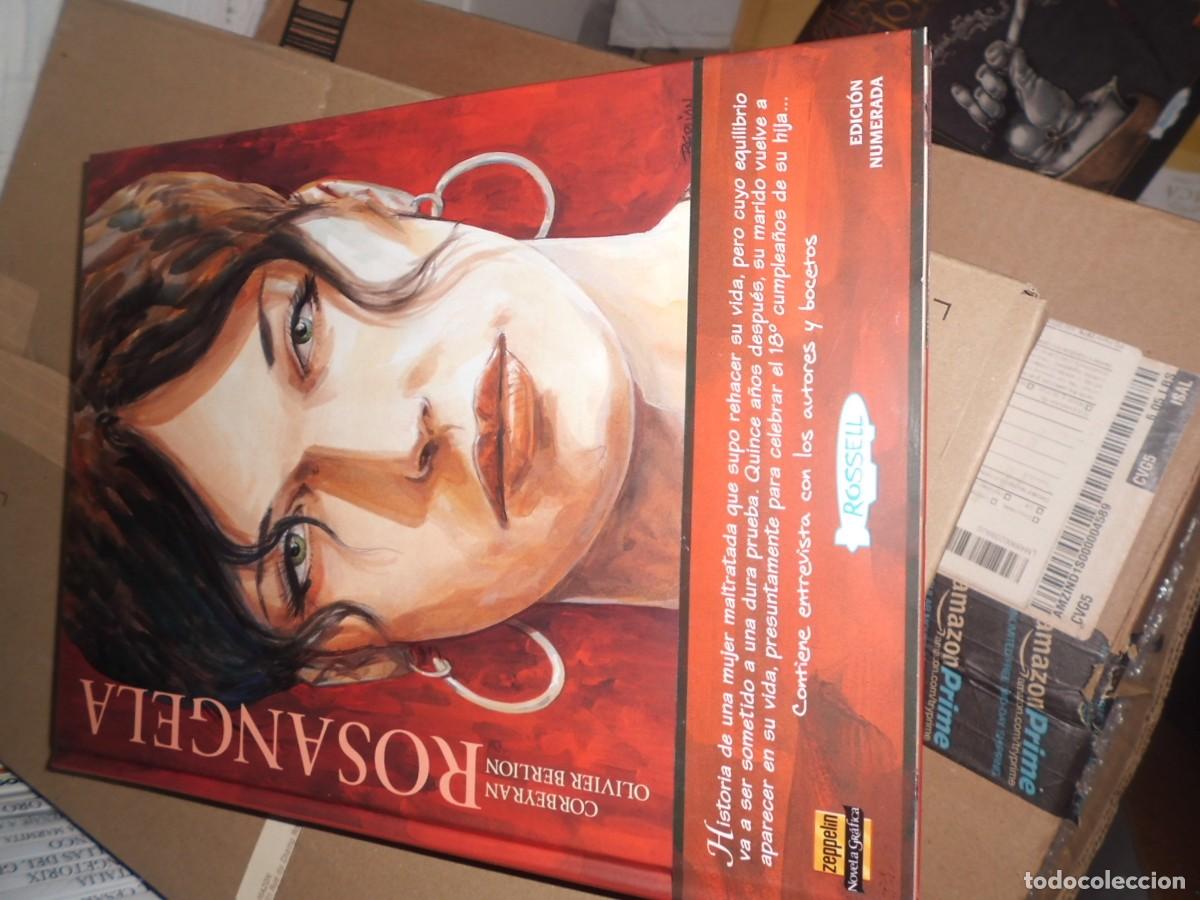 C&oacute;mics: ROSANGELA ROSSELL.........