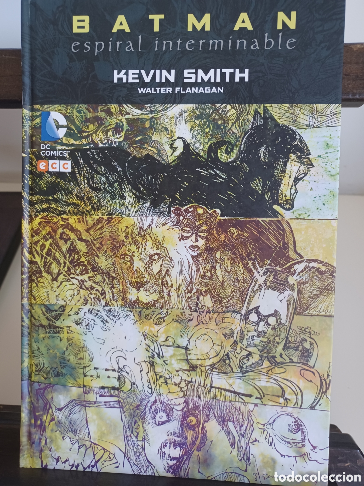 C&oacute;mics: Batman. Espiral interminable/ Smith & Flanagan/ DC ECC/ NUEVO A ESTRENAR