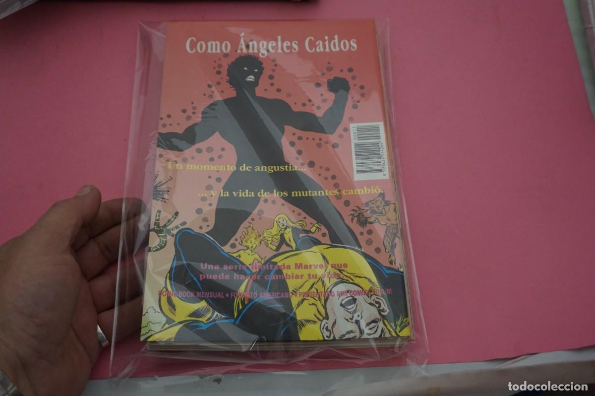C&oacute;mics: 17C - MIRACLEMAN - &iexcl;RENACIDO! - ECLIPSE COMICS - 11 TOMOS COMPLETO - ALAN MOORE Y GARRY LEACH - Foto 2
