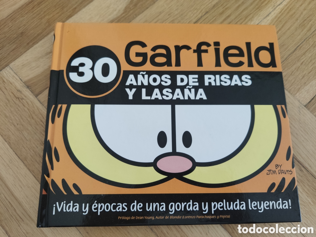 C&oacute;mics: Garfield 30 a&ntilde;os de risas y lasa&ntilde;a. Jim Davis - Foto 1