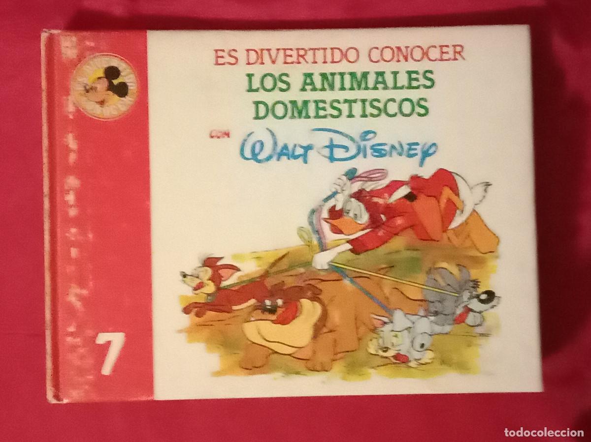 C&oacute;mics: Es Divertido Conocer Los Animales Dom&eacute;sticos Con Walt Disney - Edit. Club Inter. del Libro. 1986