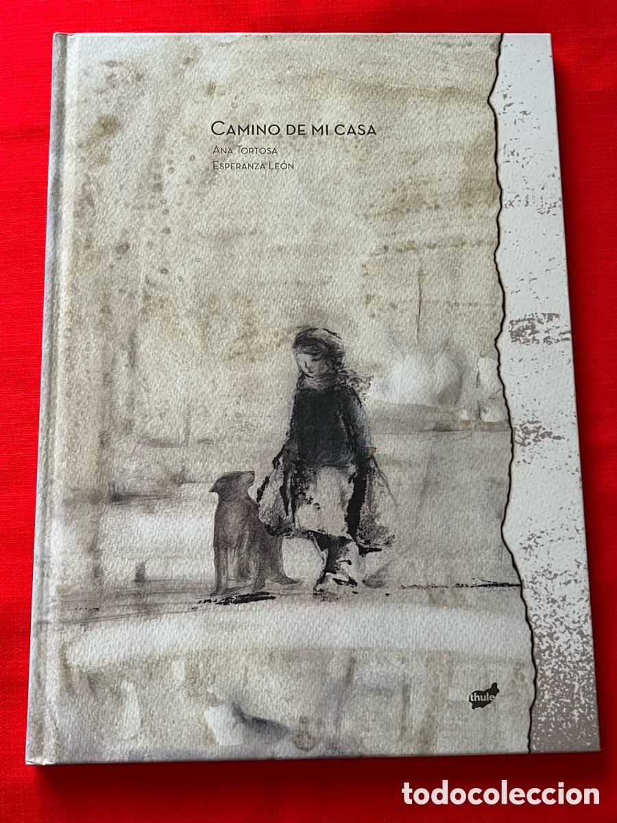 C&oacute;mics: C&oacute;mic / Noche gr&aacute;fica - Camino a casa - Ana Tortosa - Esperanza Le&oacute;n