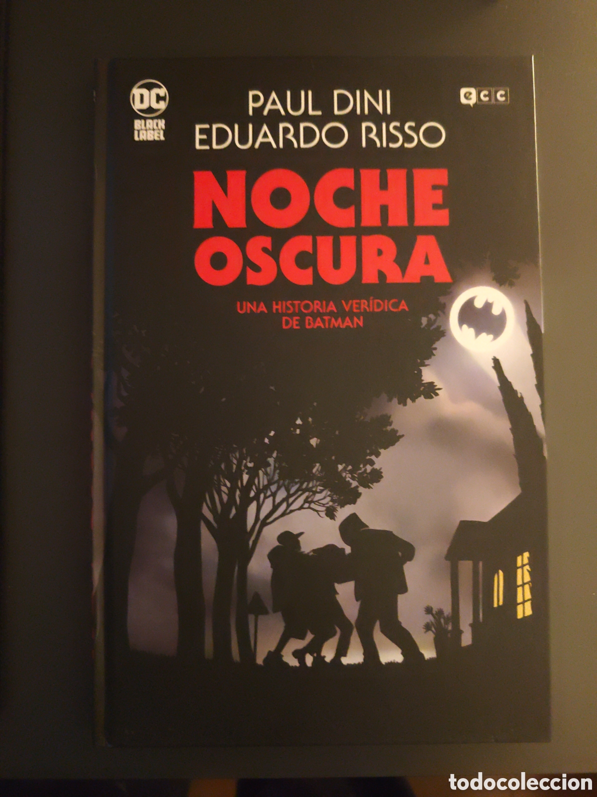 C&oacute;mics: Noche oscura. Una historia ver&iacute;dica de Batman. Dini Risso
