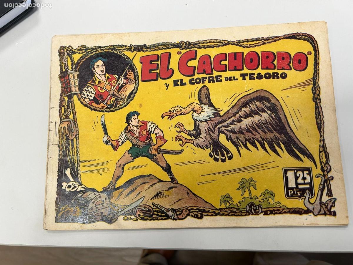 C&oacute;mics: el cachorro n&ordm; 8 correcto