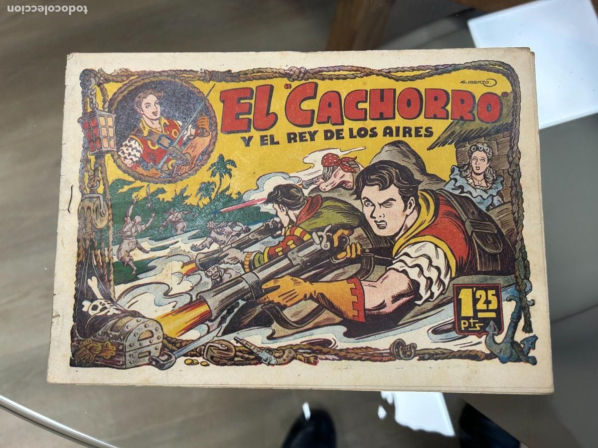 C&oacute;mics: el cachorro n&ordm; 9 correcto