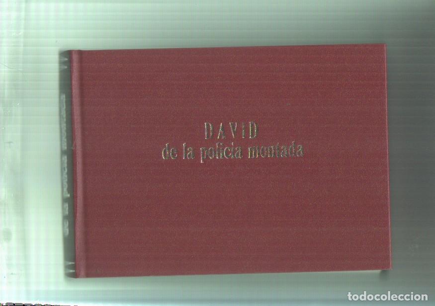 Comics: Facsimil: Tomo con las colecciones: David de la policia montada + Ted el pelirrojo -