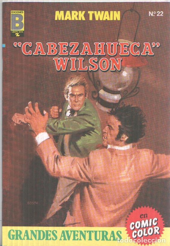 Comics: Grandes Aventuras en comic color numero 22: Cabezahueca Wildson - Varios