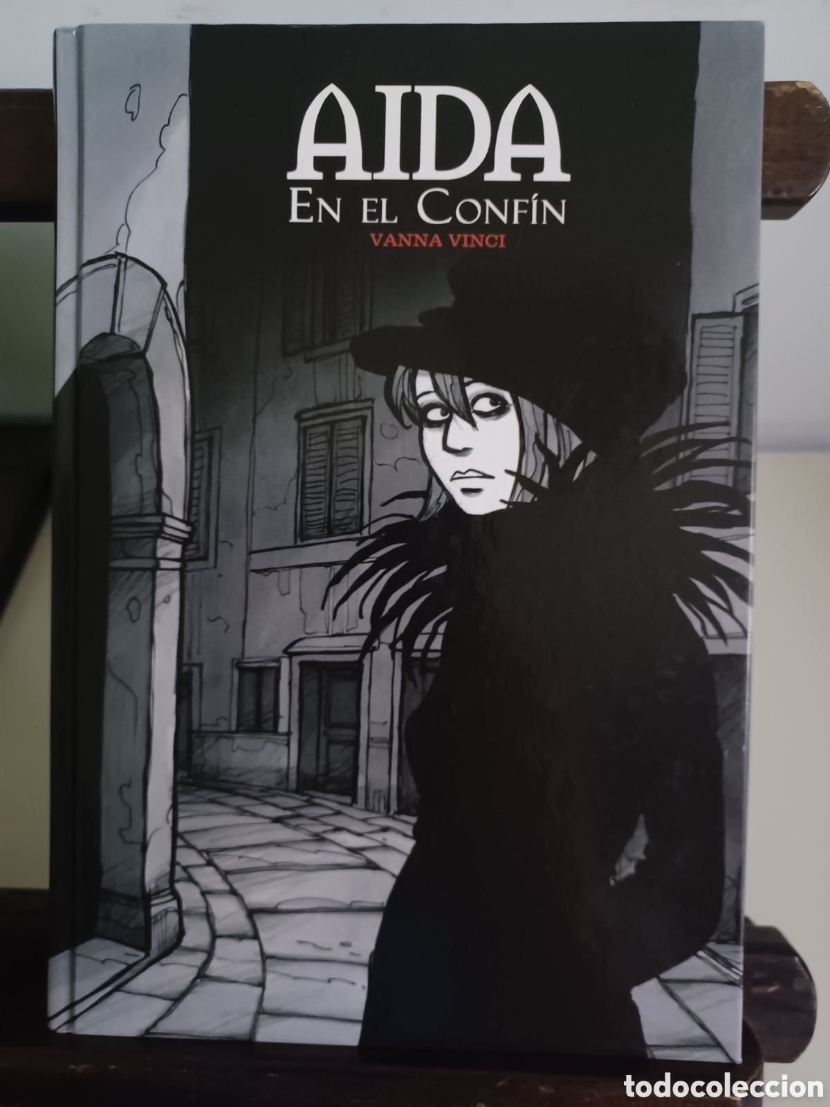 C&oacute;mics: A&iacute;da en el conf&iacute;n/ Vanna Vinci/ Dolmen - Foto 1