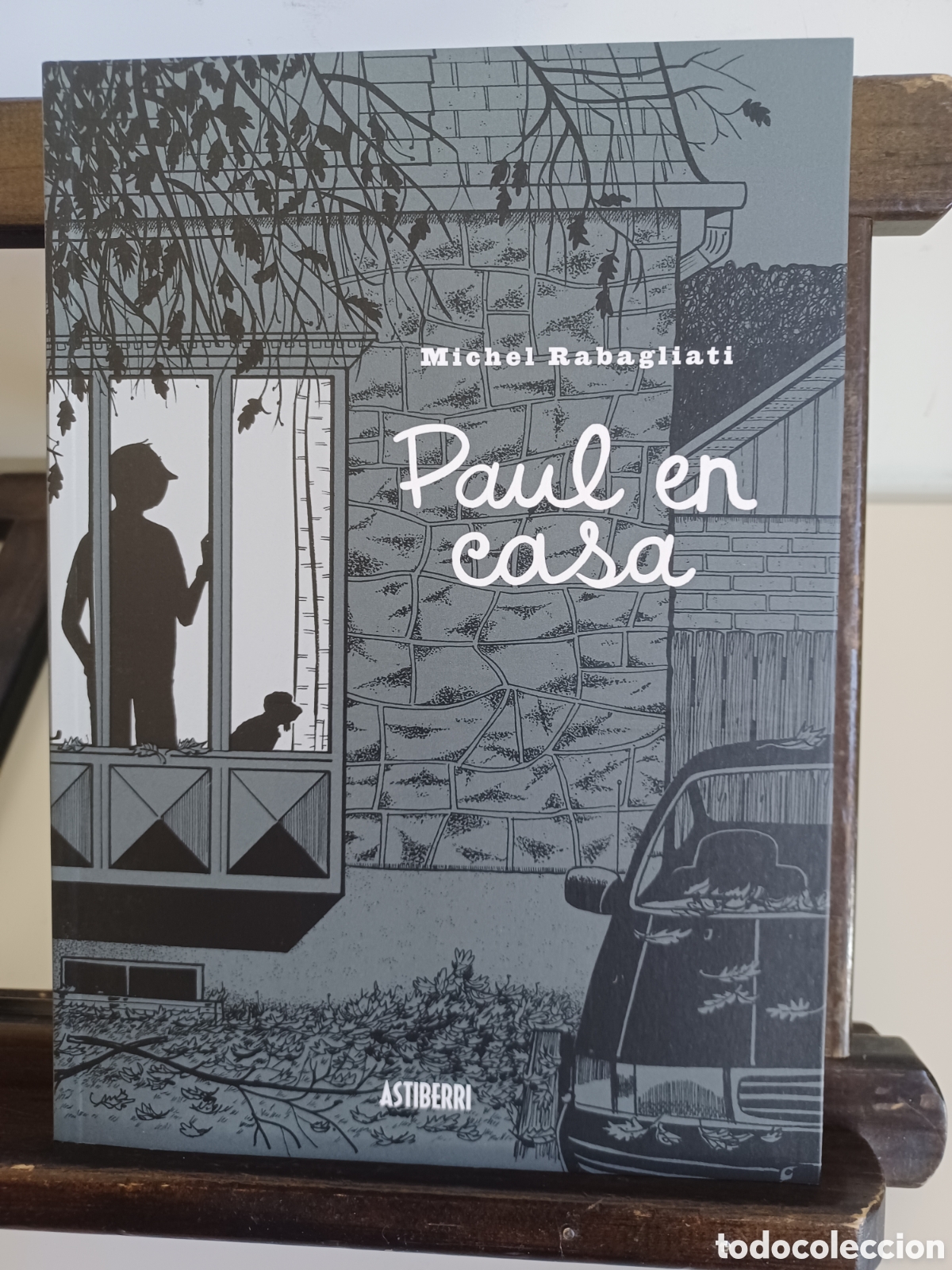 C&oacute;mics: Paul en casa/ Michael Rabagliati/ Astiberri/ NUEVO A ESTRENAR