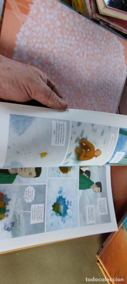C&oacute;mics: URACHIMA EL VALIENTE / NATHALIE BODIN / PU-SA-6 / SAURE - Foto 7