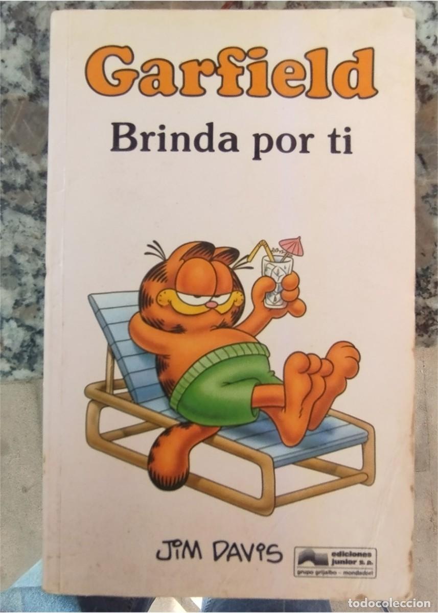 C&oacute;mics: GARFIELD BRINDA POR TI JIM DAVIS Ed. JUNIOR 1991 RUSTICA