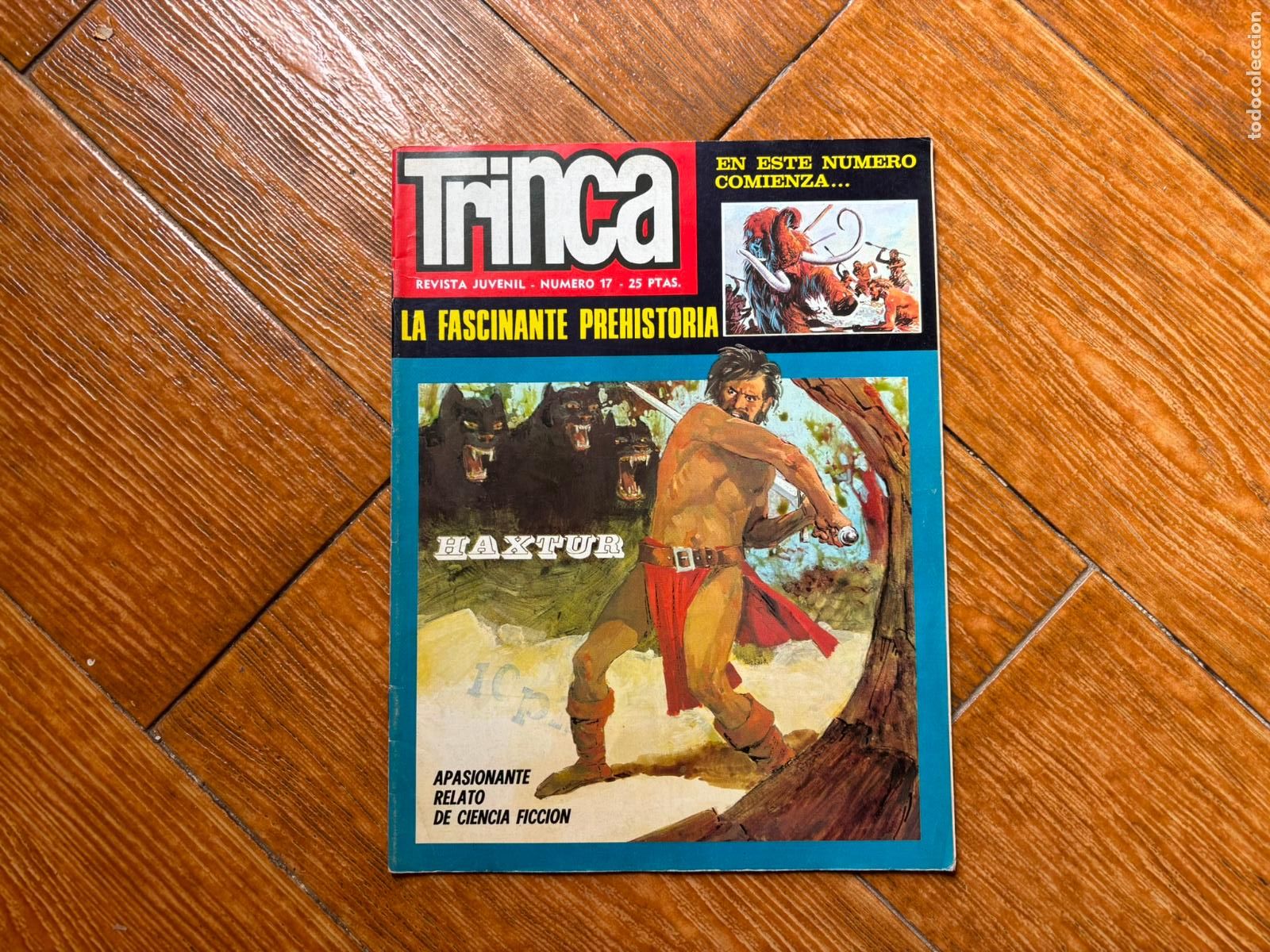 C&oacute;mics: TRINCA N&ordm; 17 EDICIONES DONCEL 1973