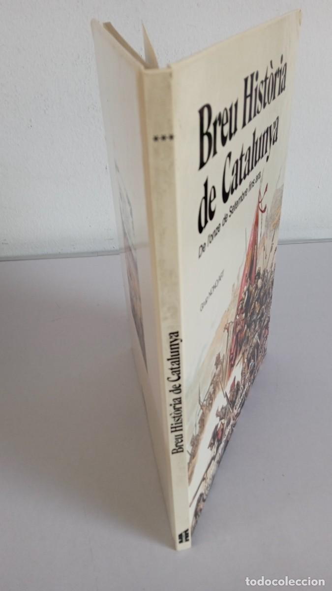 C&oacute;mics: BREU HISTORIA DE CATALUNYA - Foto 2