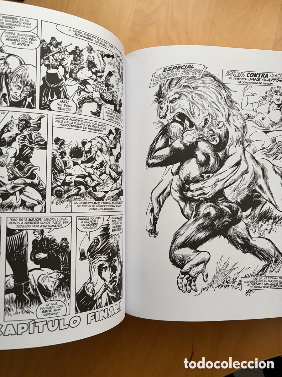 C&oacute;mics: Tarzan el se&ntilde;or de la jungla - Foto 6