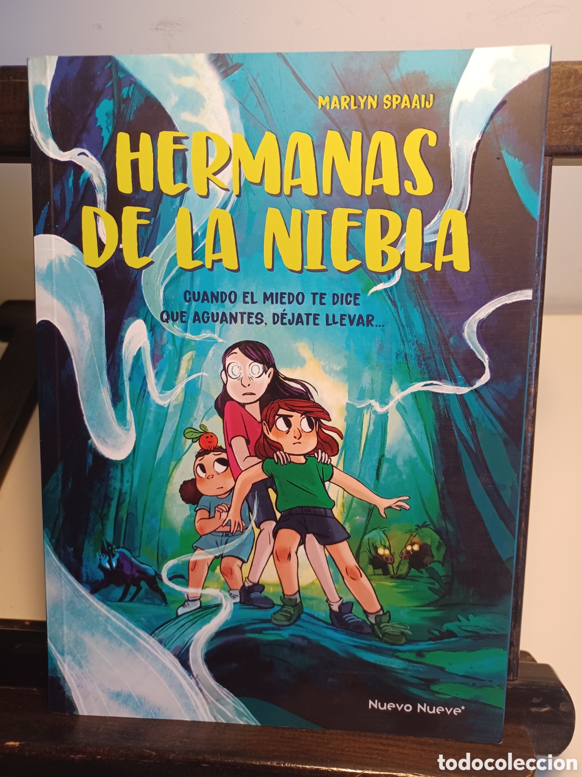C&oacute;mics: Hermanas de la niebla/ Marlyn Spaaij/ Nuevo Nueve/ NUEVO A ESTRENAR