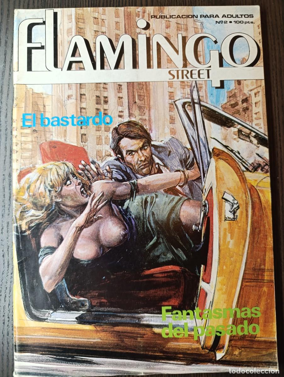 Comics : Comic. Flamingo Street n&ordm; 2. Ver fotos