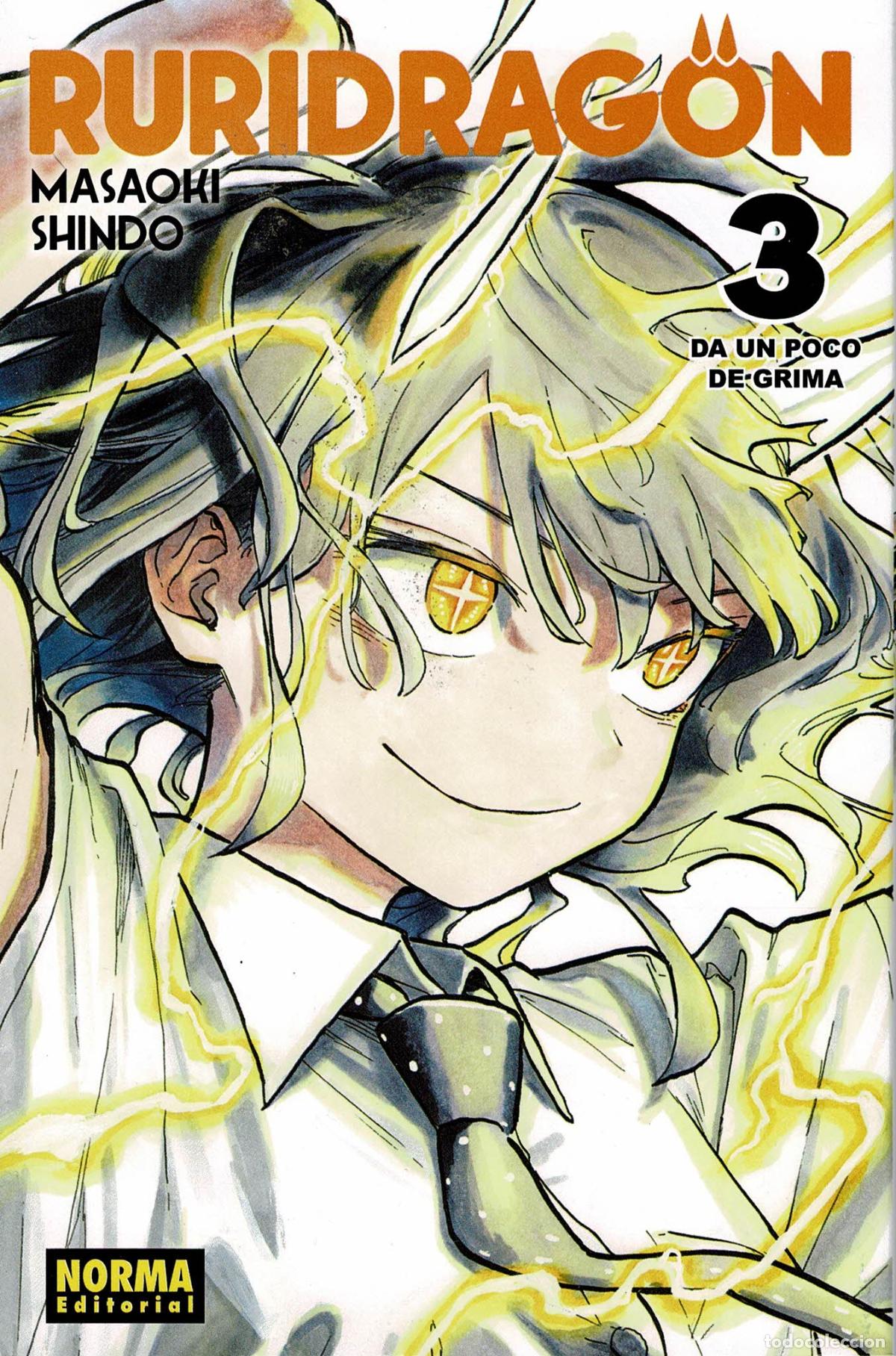 C&oacute;mics: Ruridragon vol. 3.manga, Norma editorial