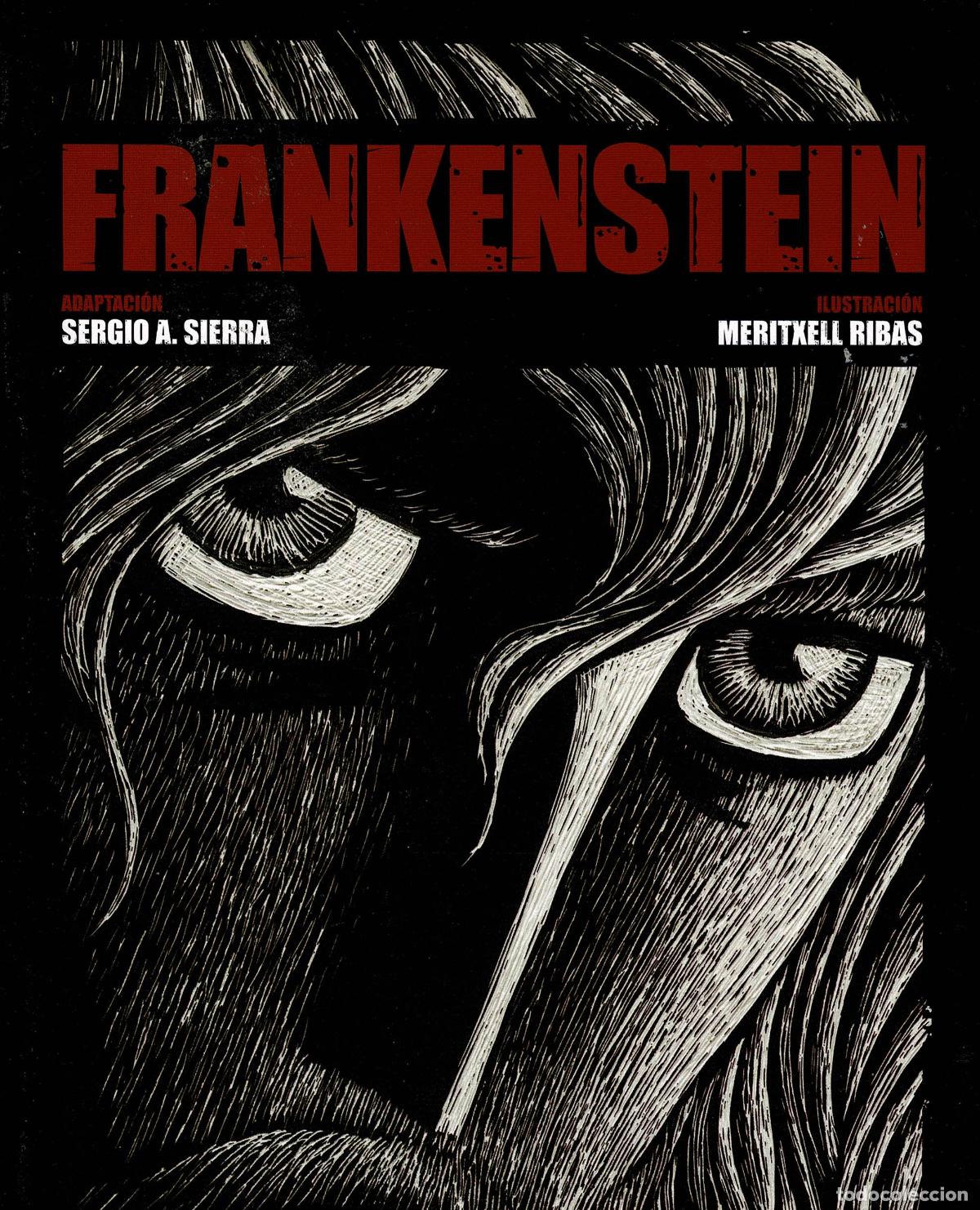 C&oacute;mics: Frankenstein, Meritxell Ribas. editorial