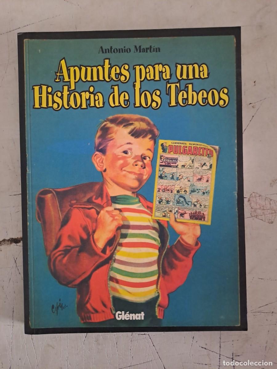 C&oacute;mics: Apuntes para una historia de los tebeos, Glenat en buen estado Bolsa DA