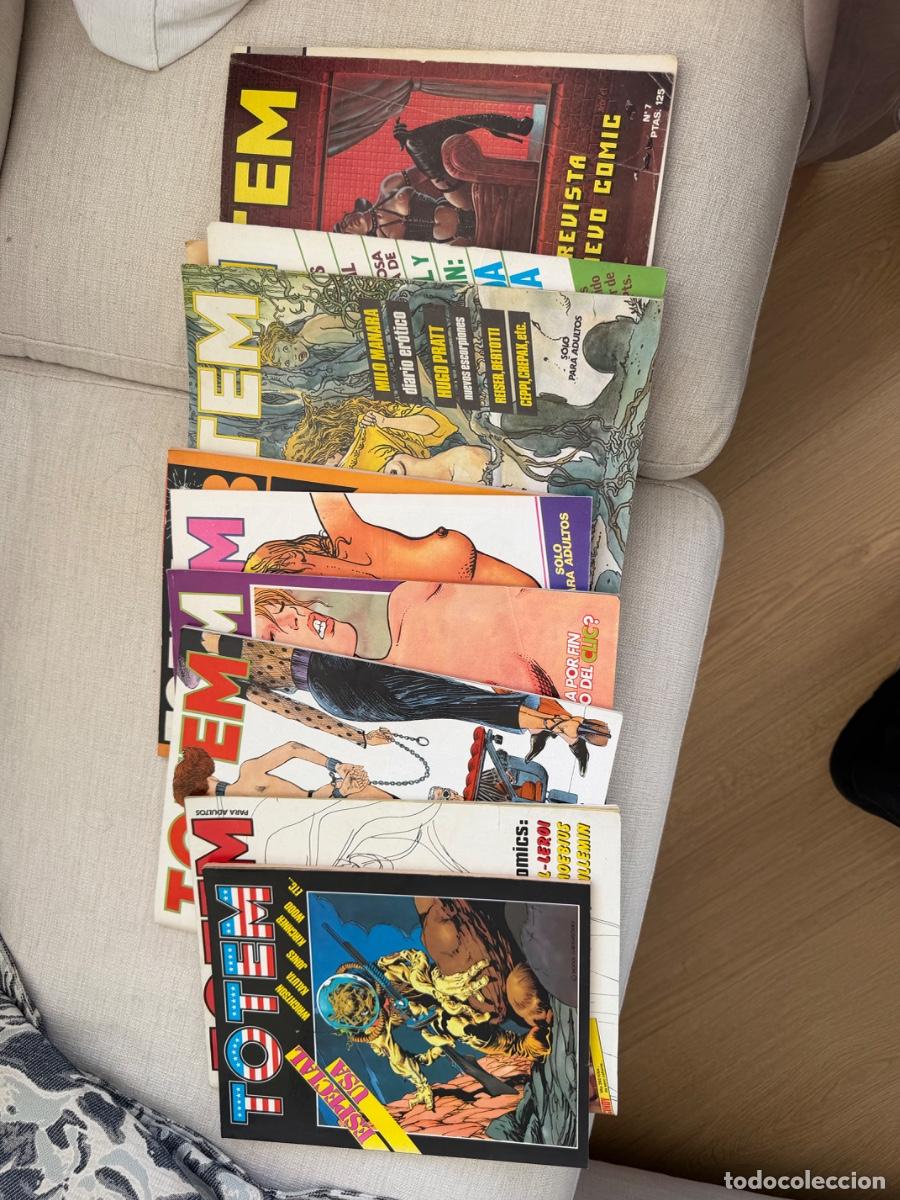 C&oacute;mics: Venta colecci&oacute;n Comic T&oacute;tem