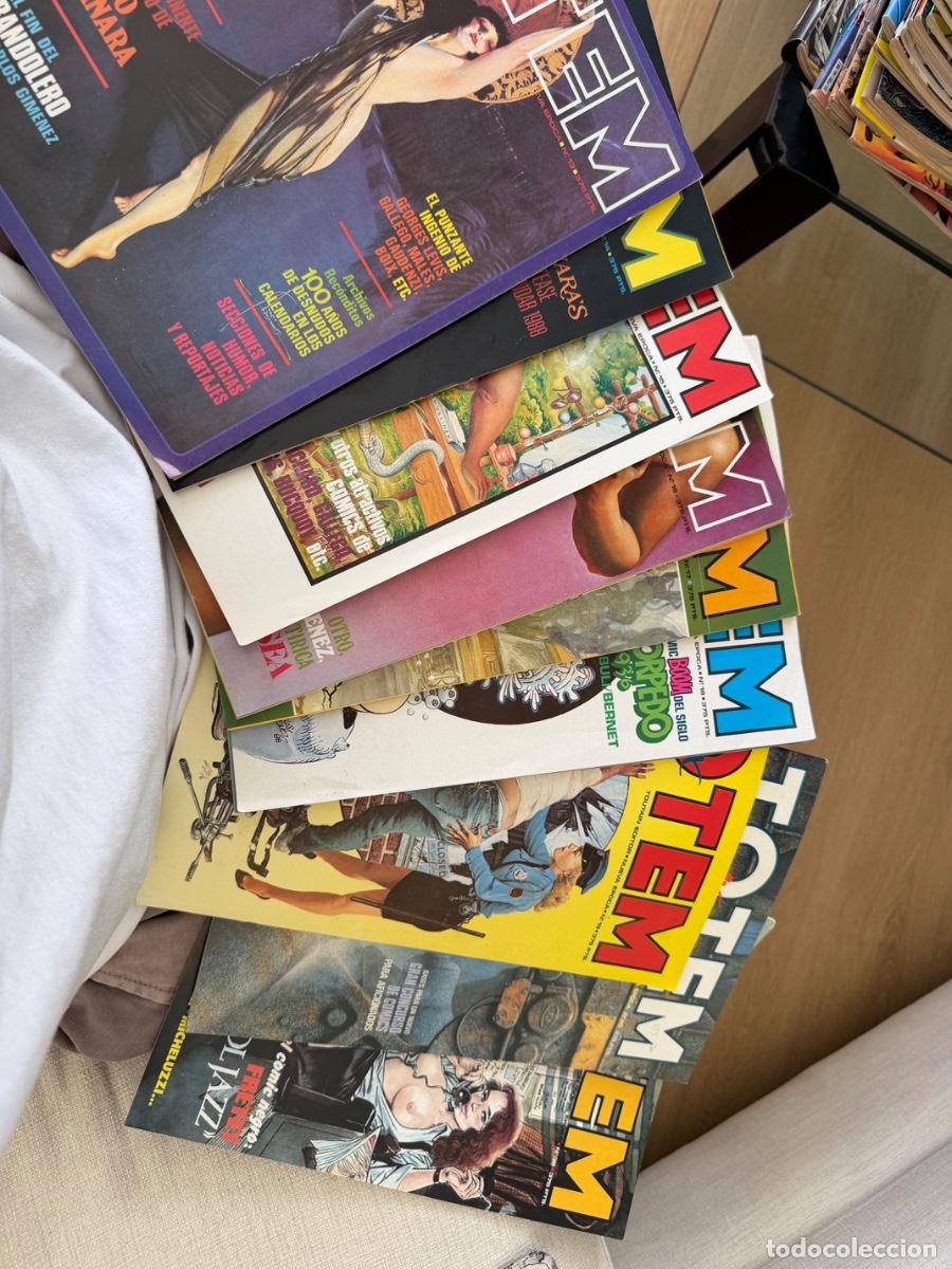 C&oacute;mics: Venta colecci&oacute;n Comic T&oacute;tem - Foto 2