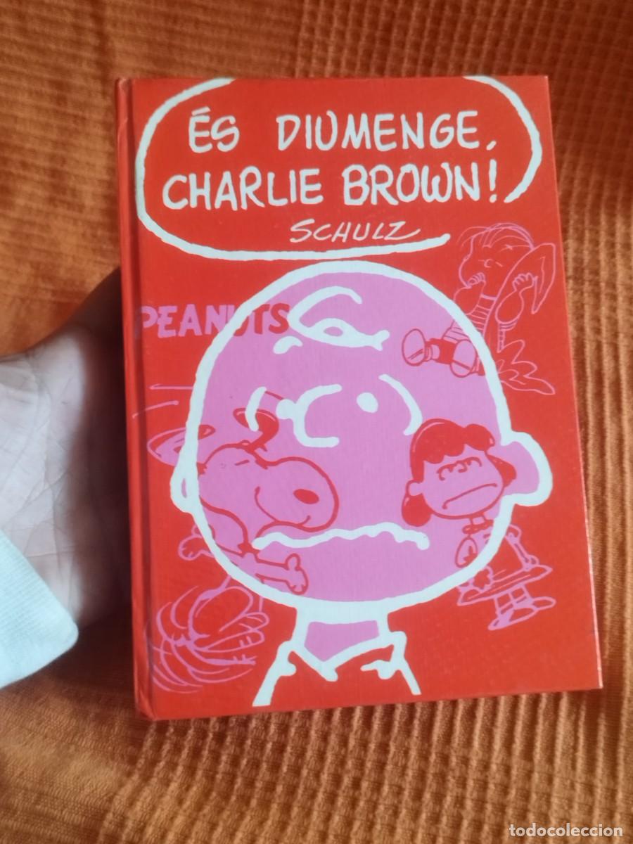 C&oacute;mics: C&oacute;mic de la serie Peanuts titulado &rdquo;&Eacute;s diumenge, Charlie Brown!&rdquo;.