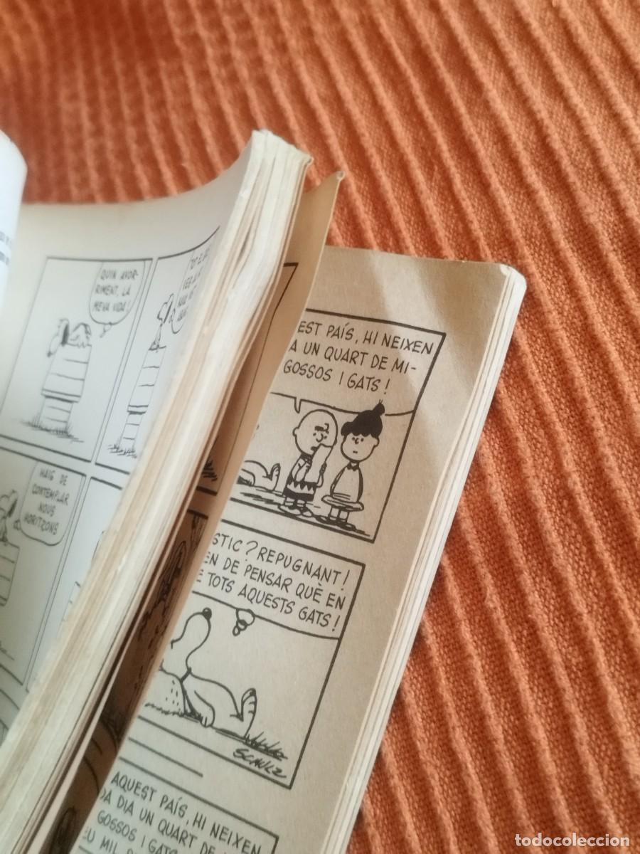 C&oacute;mics: COMIC SNOOPY TORNA A CASA SNOOPY PEANUTS EDICIONS 62. - Foto 7
