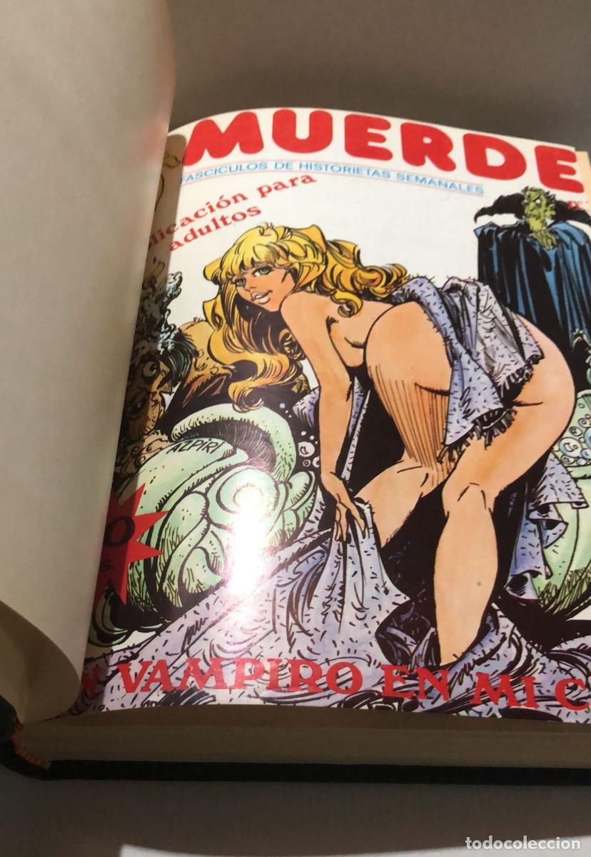 C&oacute;mics: MUERDE COMPLETA ( 13 N&ordm;s) + 4 ESPECIALES EN UN TOMO - AZPIRI - MUUUY DIFICIL - MUY BUEN ESTADO