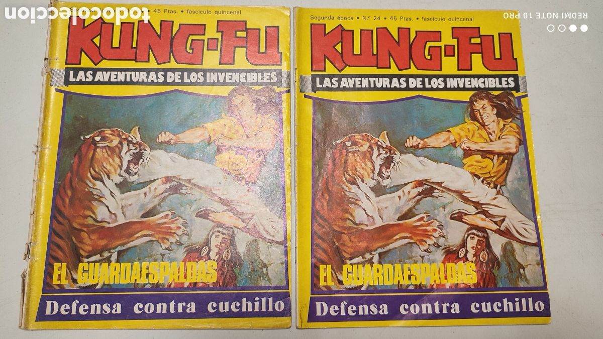 C&oacute;mics: COMICS KUNG-FU LOTE CON 20-N&ordm;