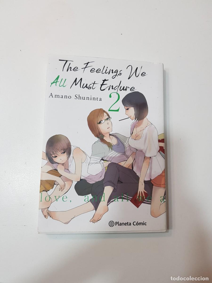 C&oacute;mics: Comic manga The feelings we all must endure N&ordm; 2