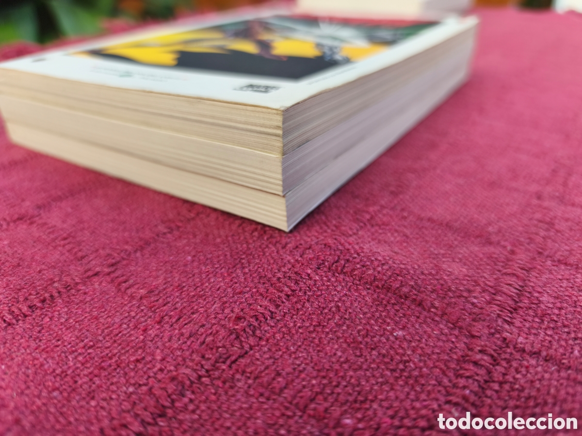 C&oacute;mics: DAREDEVIL DAN DEFENSOR GRANDES HEROES DEL COMIC BIBLIOTECA EL MUNDO COMPLETA MARVEL COMICS - Foto 13