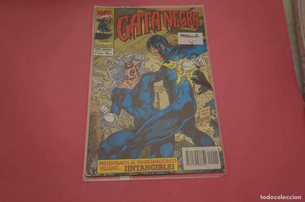 C&oacute;mics: 17D/ GATA NEGRA - N&ordm; 2 DE 4 - SERIE LIMITADA / MARVEL COMICS FORUM - Foto 1