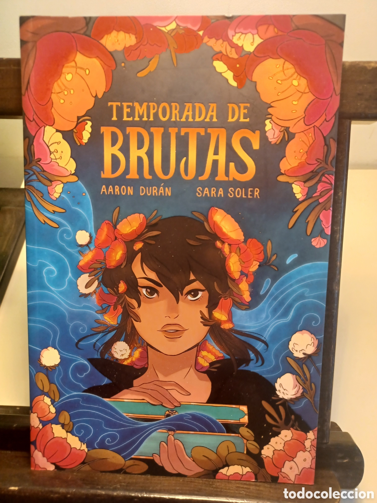C&oacute;mics: Temporada de brujas/ Aaron Dur&aacute;n & Sara Soler/ Astiberri/ NUEVO A ESTRENAR