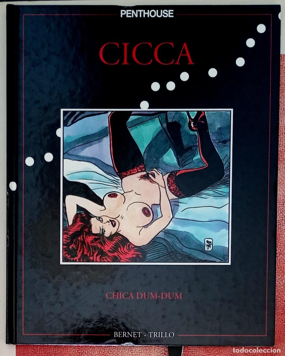 C&oacute;mics: Bernet - Trillo . Cicca