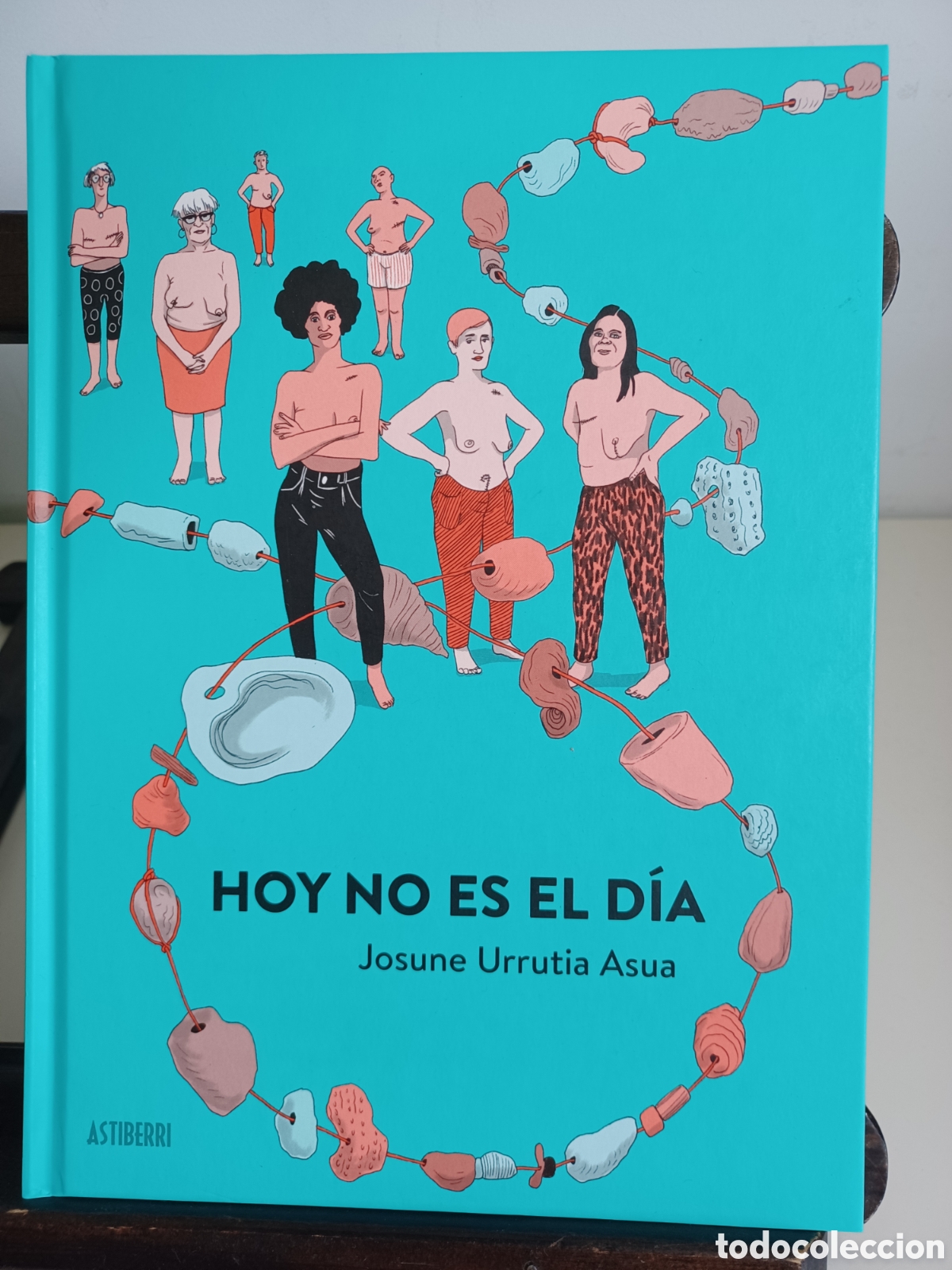 Comics : Hoy no es el d&iacute;a/ Josune Urrutia/ Astiberri/ NUEVO A ESTRENAR