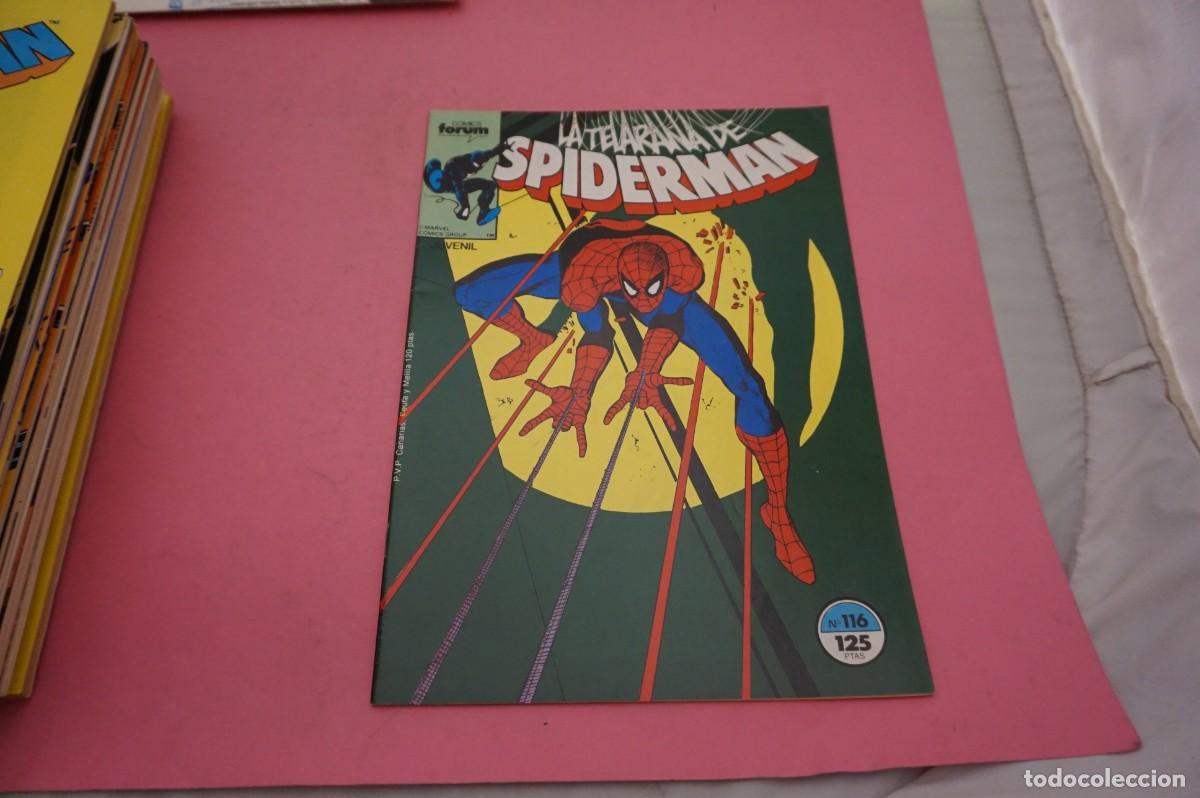 C&oacute;mics: AL/ COMIC FORUM - LA TELARA&Ntilde;A DE SPIDERMAN - N&ordm; 116