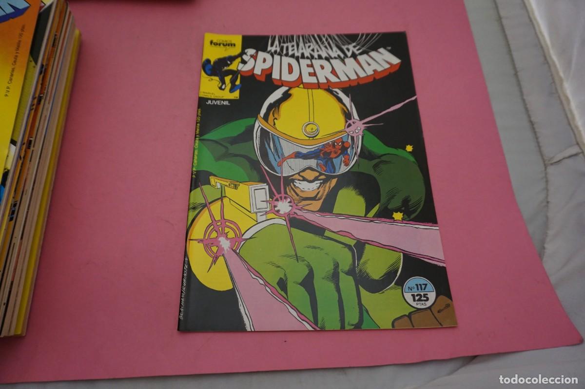C&oacute;mics: AL/ COMIC FORUM - LA TELARA&Ntilde;A DE SPIDERMAN - N&ordm; 117