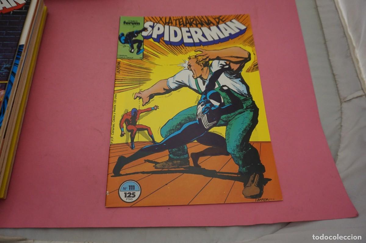 Comics: AL/ COMIC FORUM - LA TELARA&Ntilde;A DE SPIDERMAN - N&ordm; 111