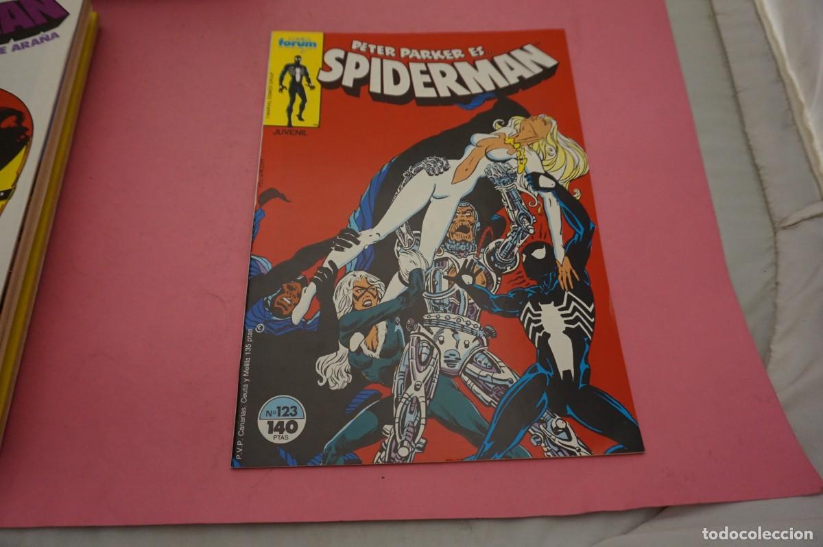 C&oacute;mics: AL/ COMIC FORUM - PETER PARKER ES... SPIDERMAN - N&ordm; 123 - Foto 1