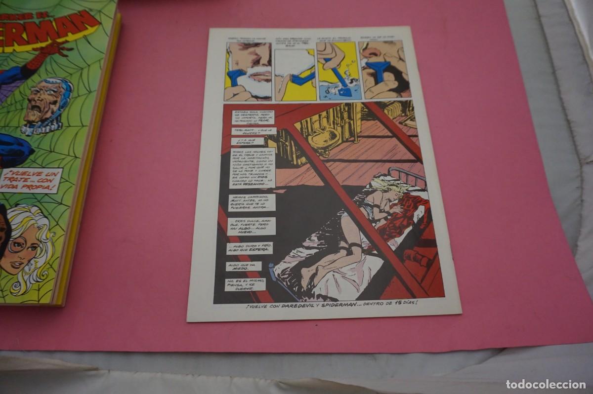 C&oacute;mics: AL/ COMIC FORUM - PETER PARKER ES SPIDERMAN - N&ordm; 125 - Foto 3