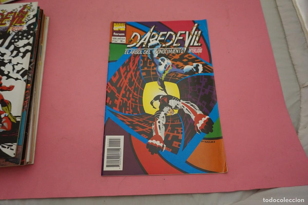 C&oacute;mics: AL/ MARVEL COMICS - COMICS FORUM N&ordm; 3 DE 7 - DAREDEVIL - EL ARBOL DEL CONOCIMIENTO - INTERLUDIO - Foto 1